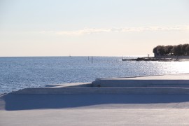 IMG_6266