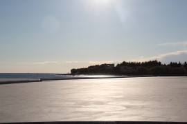 IMG_6268