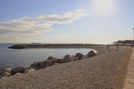 IMG_6363